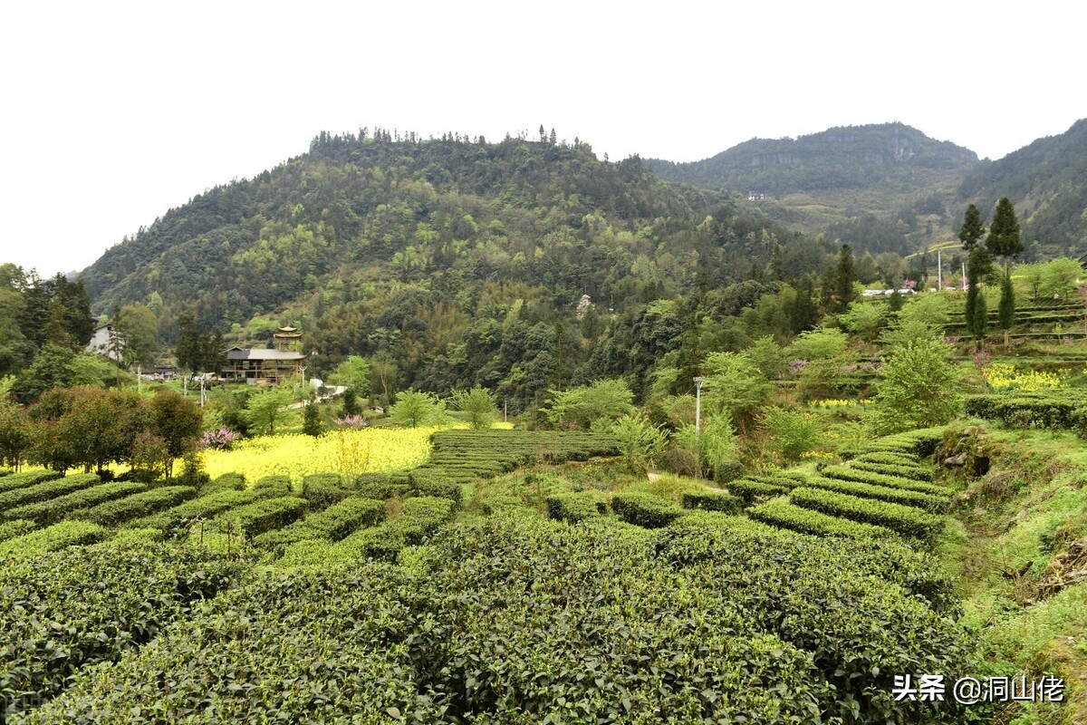 农村有句老话叫人穷别走亲,农村俗语人穷少说话位低别劝人