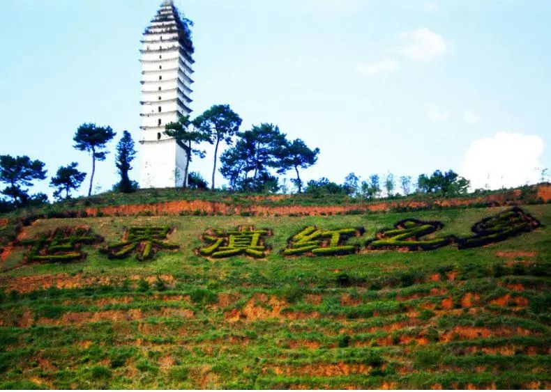 凤庆滇红云南大叶种功夫红茶,滇红特级大叶种红茶怎么不香