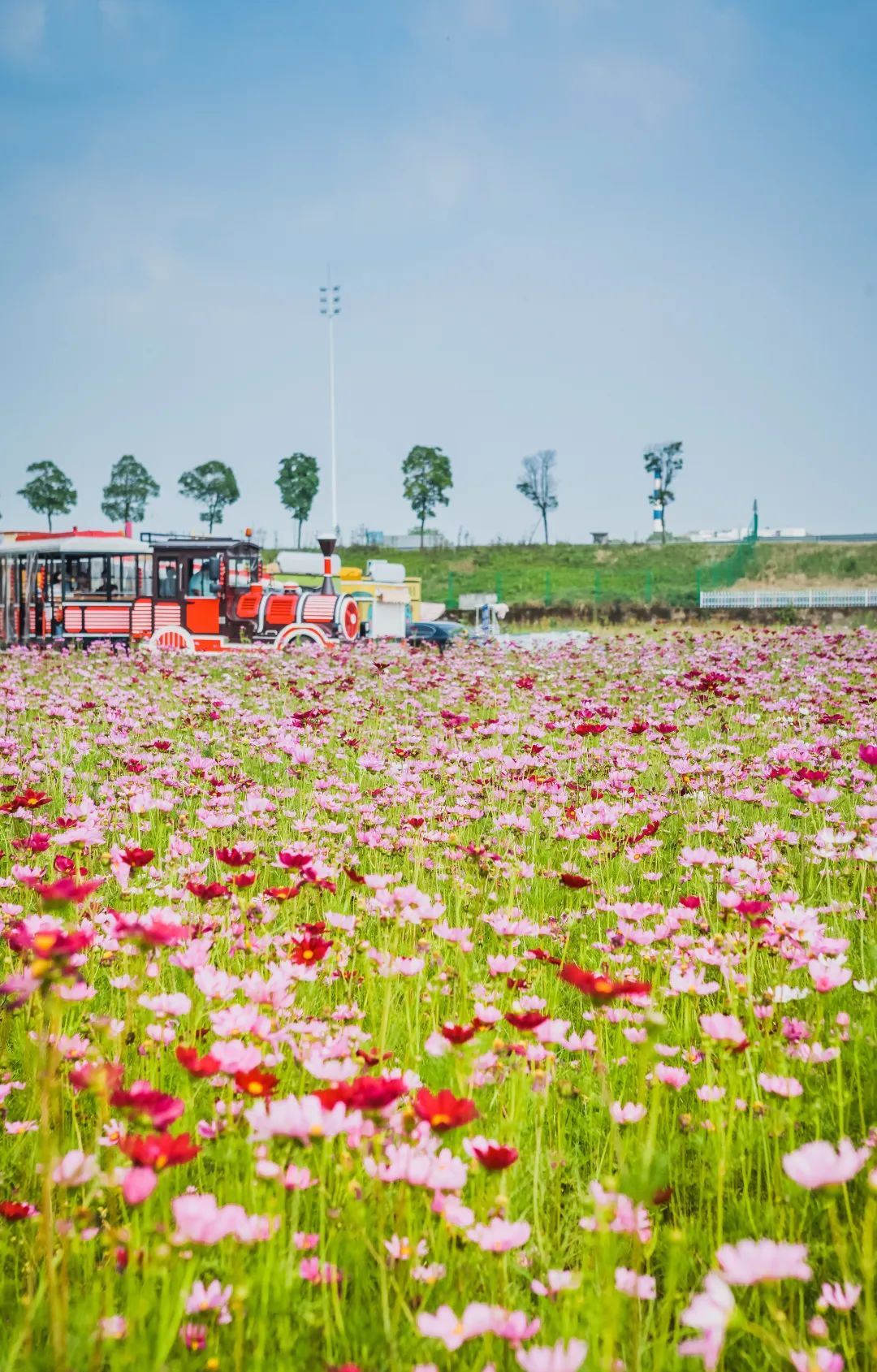 稻梦空间乡村生态观光园,稻梦空间采摘园