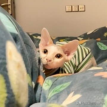 男生身高165cm你会介意吗,男生身高165但很优秀可以接受吗