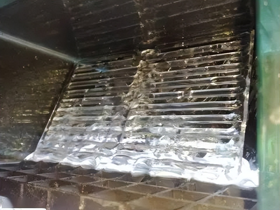 海水珊瑚缸鹦鹉螺,海水缸珊瑚视频大全