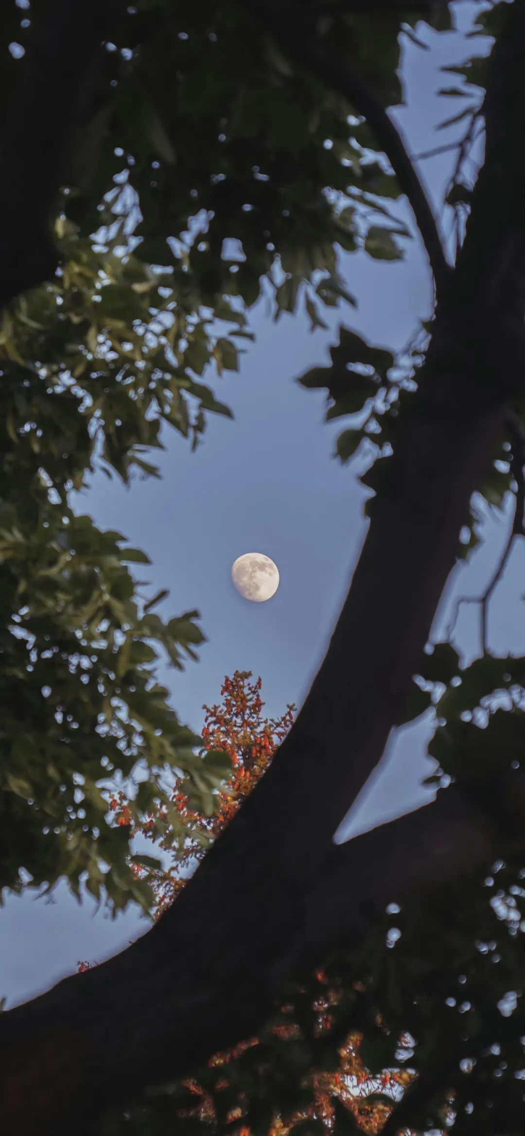 壁纸高清全屏高级感动漫,壁纸高清全屏高级感