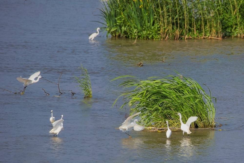 江苏的冷门景点排名,江苏比较冷门但是好玩的地方