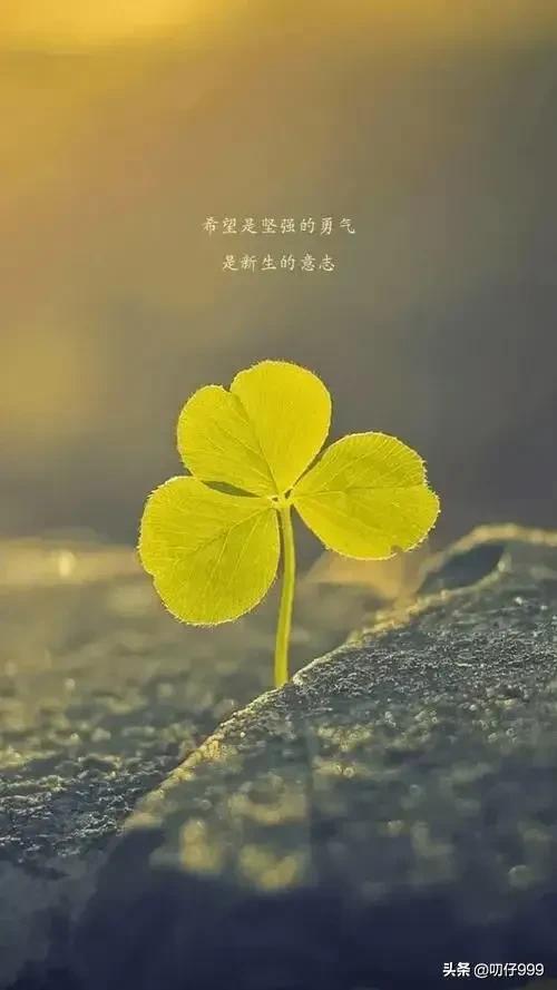 当一个男人死心前的三个征兆,男人一旦死心的征兆