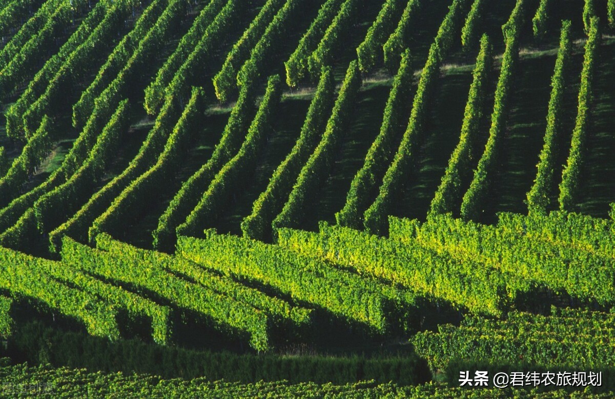 田园东方赚钱吗,田园东方靠谱吗