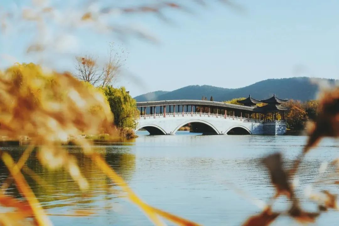 徐州春游野餐的好地方推荐,徐州最新春游推荐