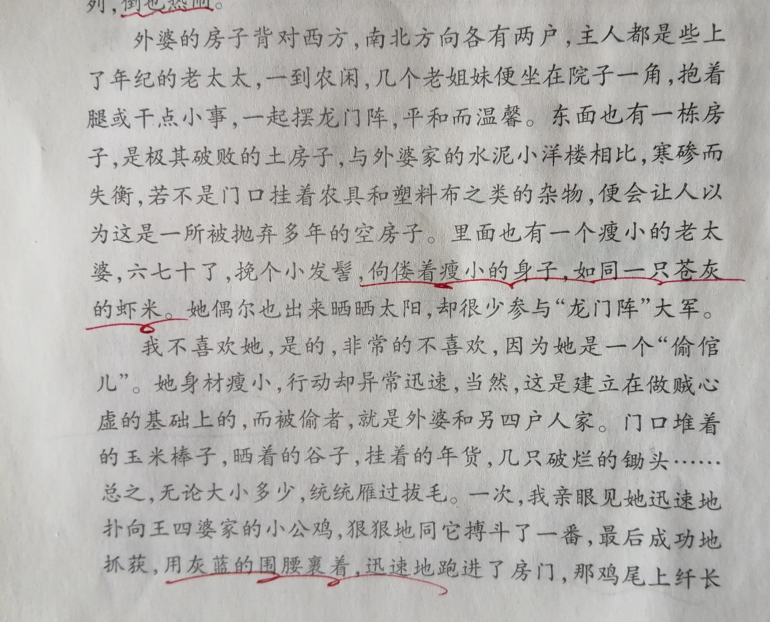 高考满分作文《微妙的平衡》，质朴中有深意，一开头就惊艳