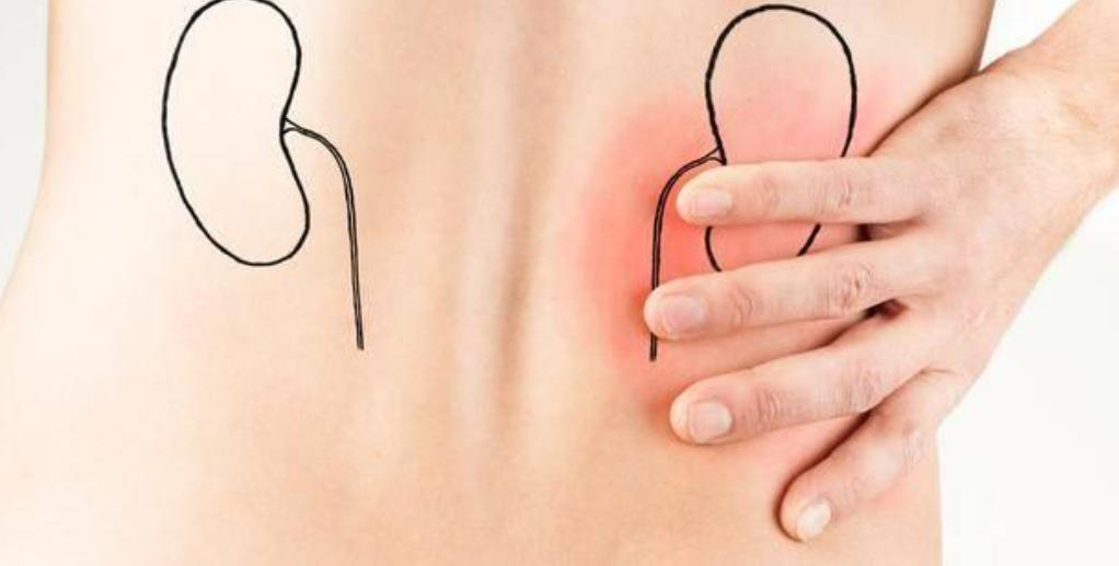 肾阴虚怎么才能彻底补回来,肾阴虚应注意哪些问题