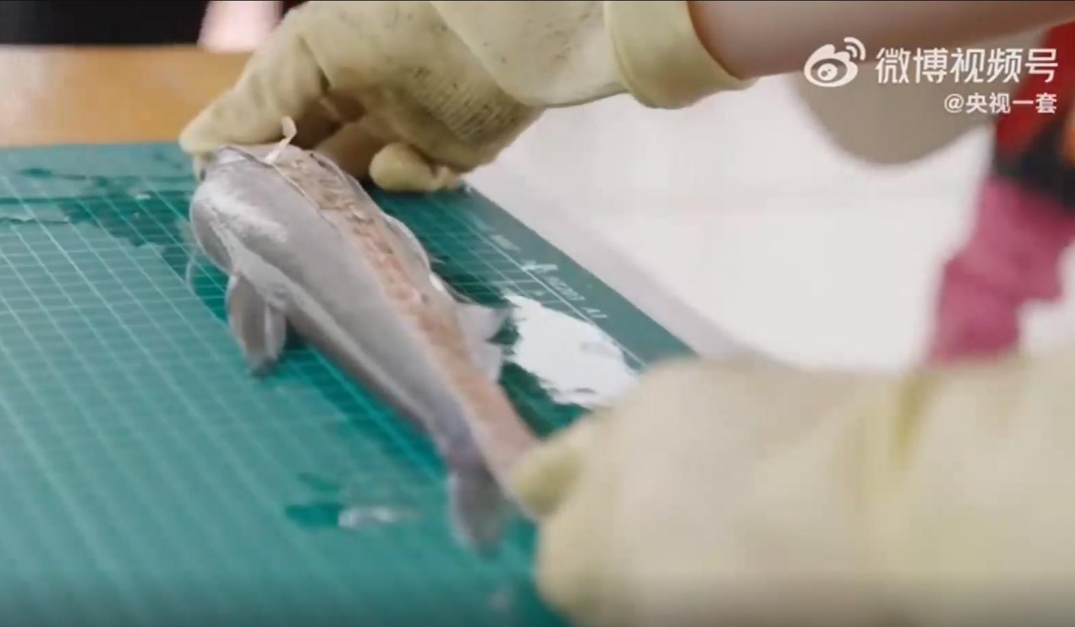 什么年代禁捕刀鱼,1万一斤刀鱼