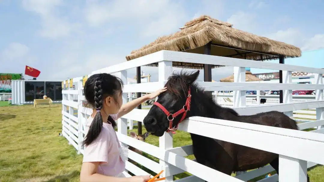 室内萌宠乐园投资多少,萌宠乐园投资方案