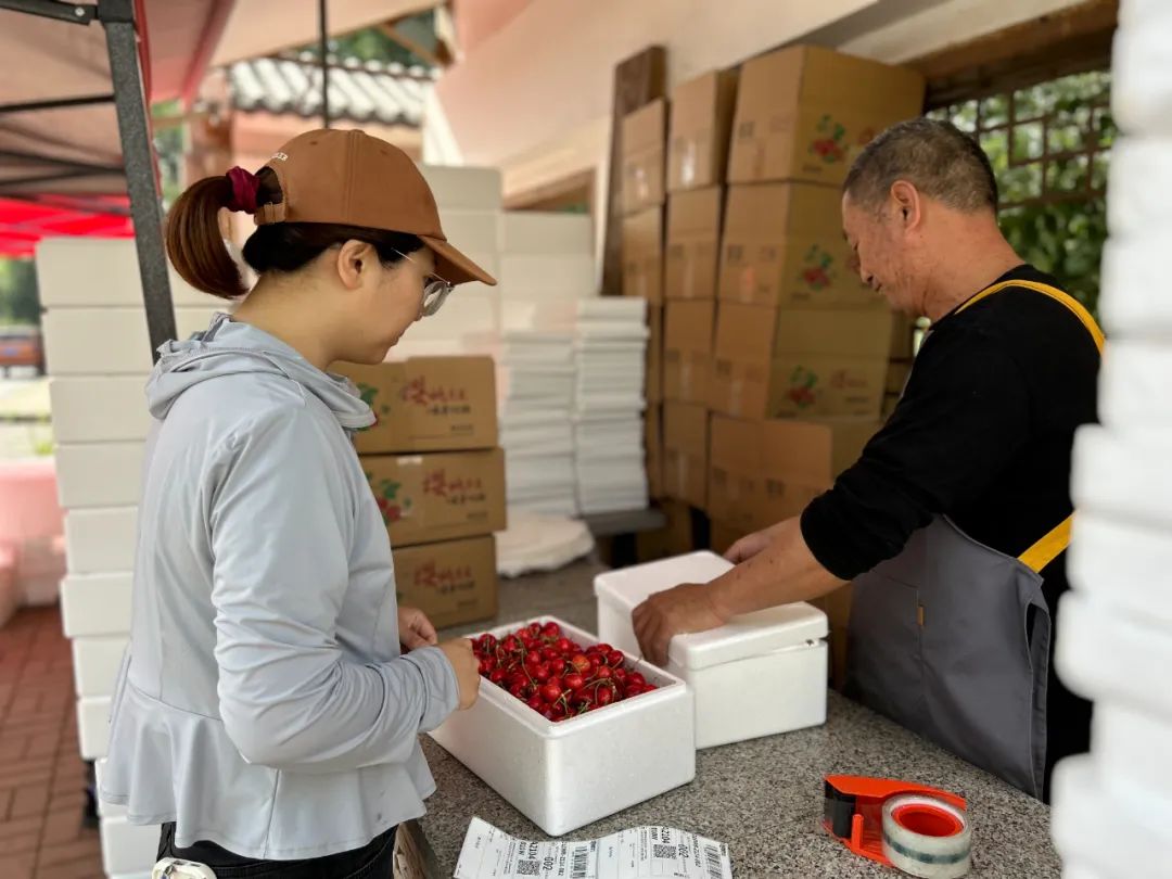 北京昌平樱桃采摘园,京郊樱桃采摘推荐