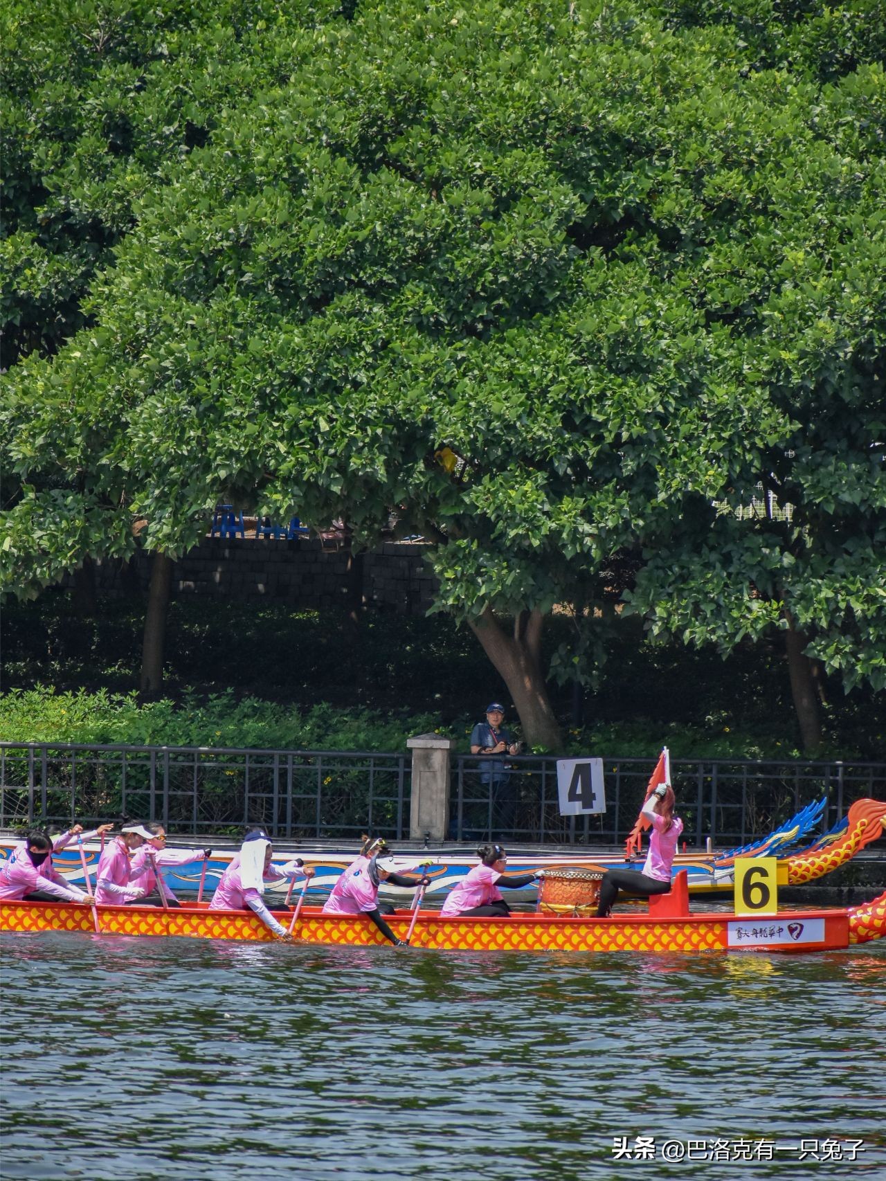外国友人爱上中国龙舟,龙舟文化圈粉外国友人