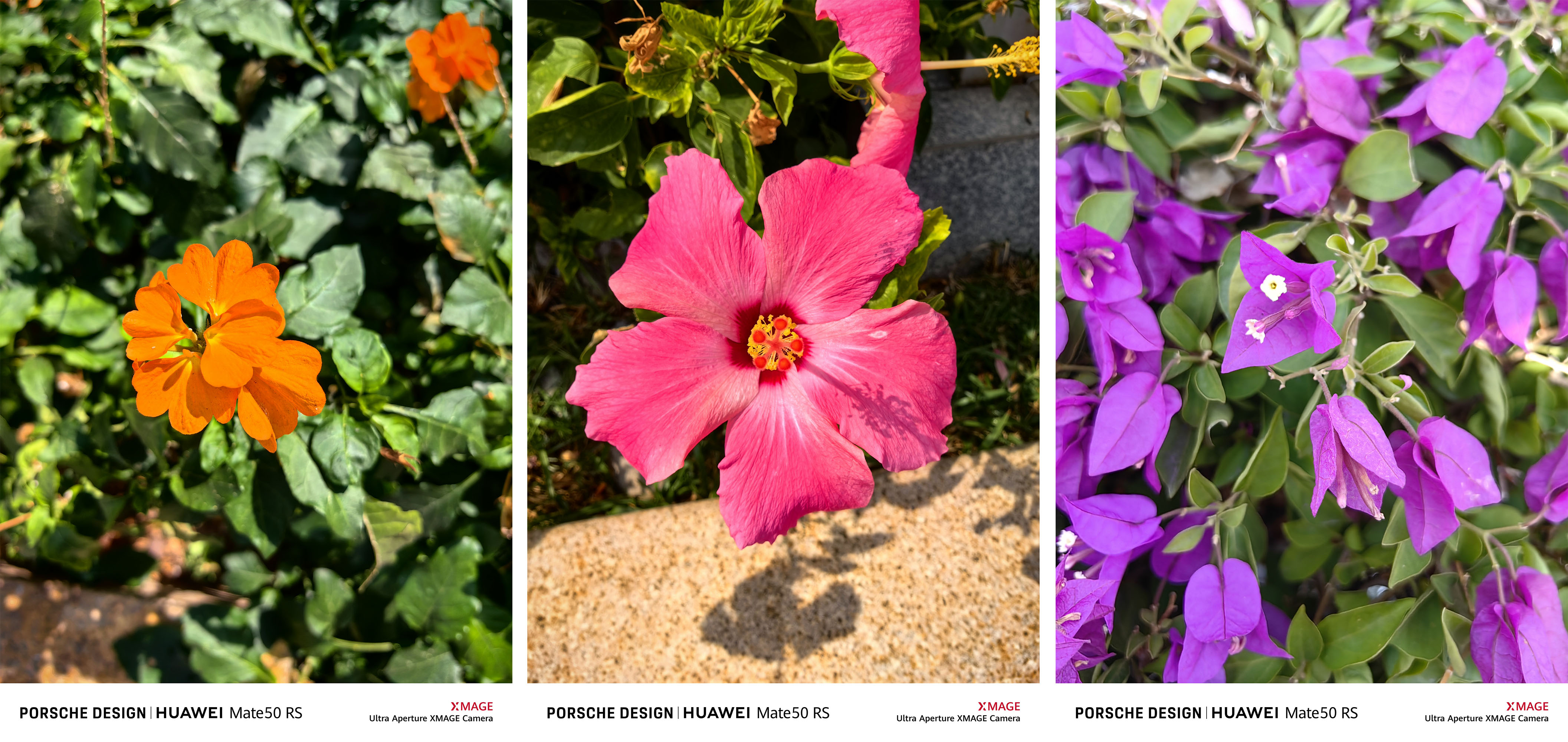 华为mate50rs保时捷评测最新,华为mate50rs保时捷典藏版区别