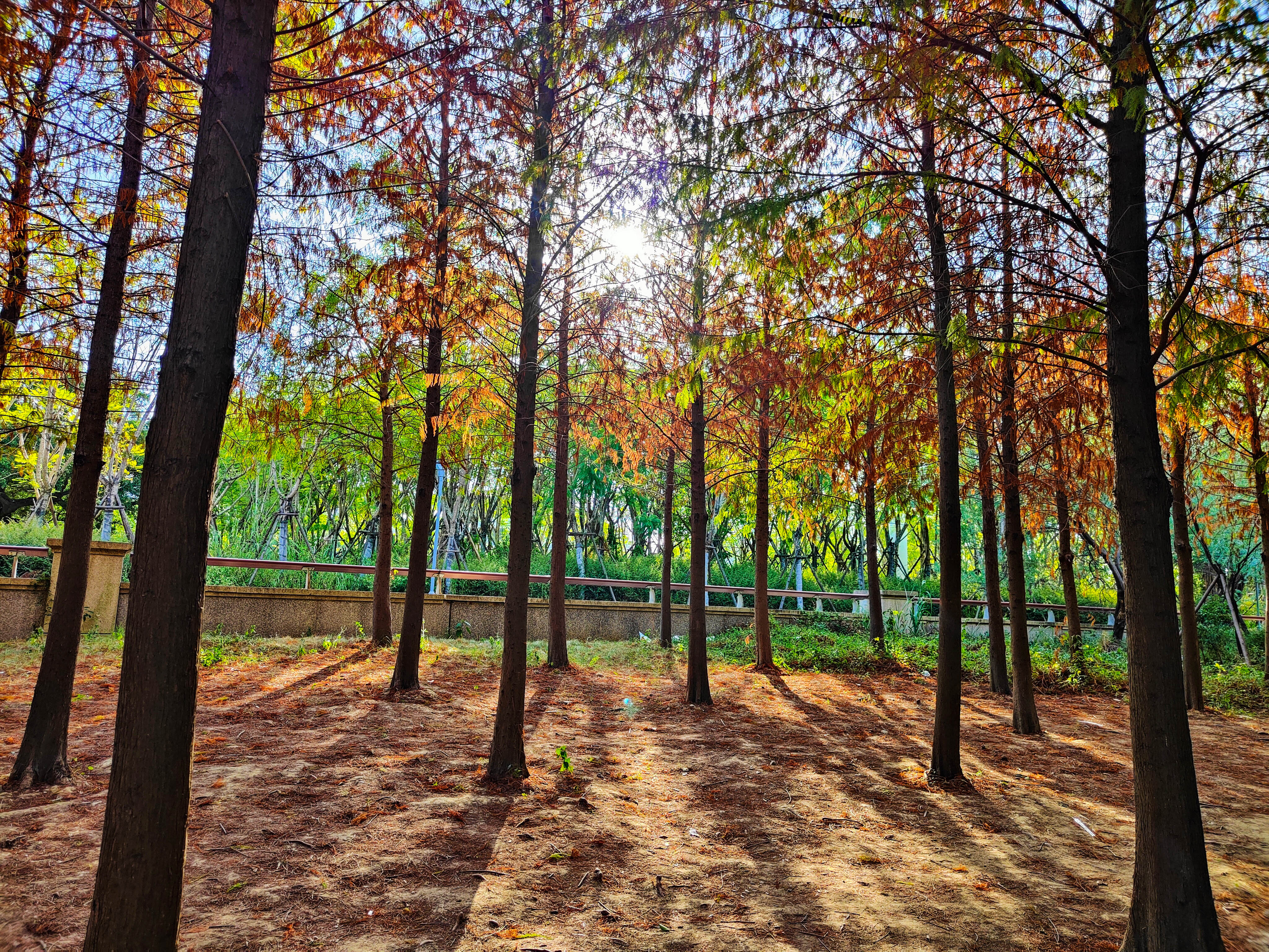 福州三江口网红打卡景点,福州三江口公园游玩攻略