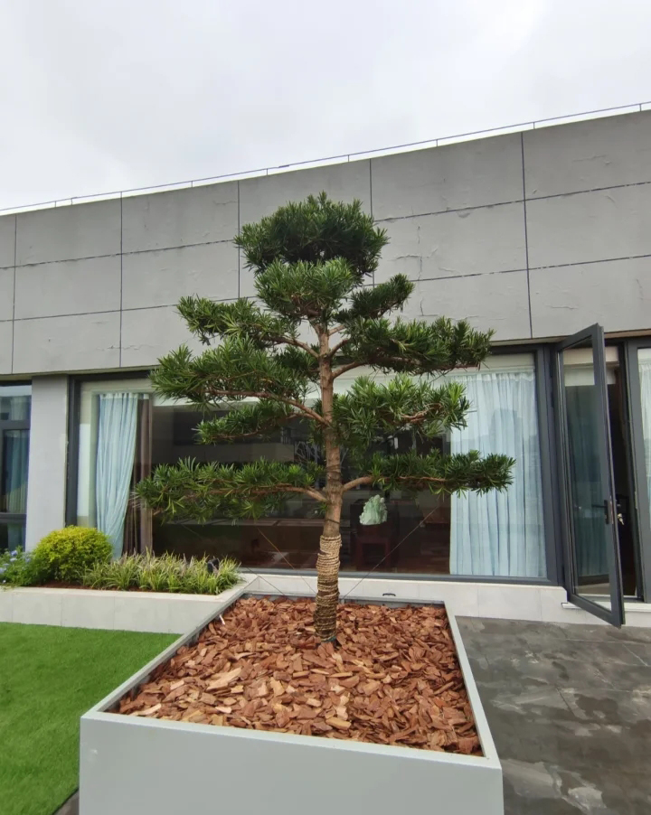 再傻不买一楼再穷不买顶楼,再傻不买顶楼再穷不买底楼