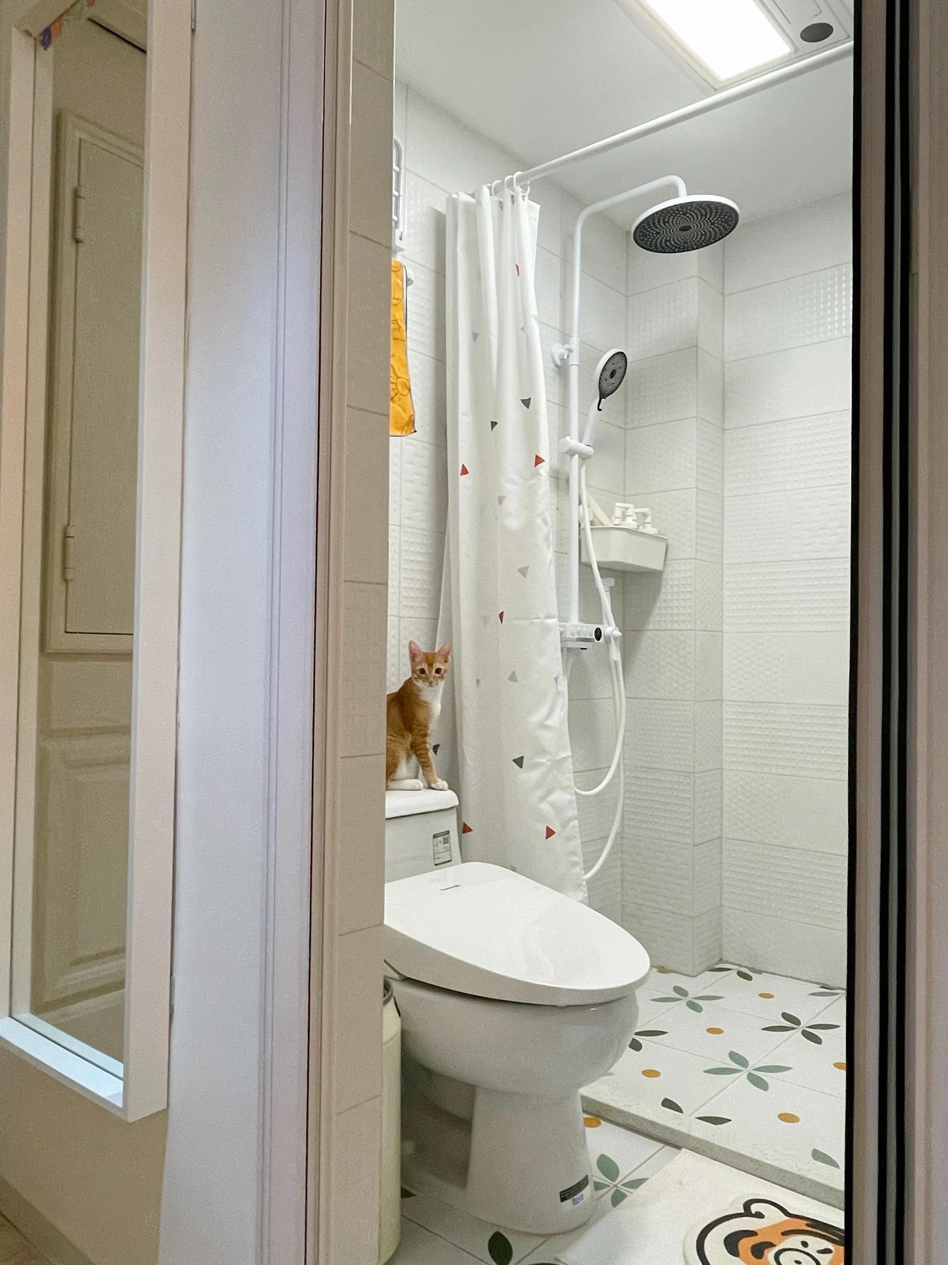 二人三喵|50平深圳“老破小”变身日系小屋