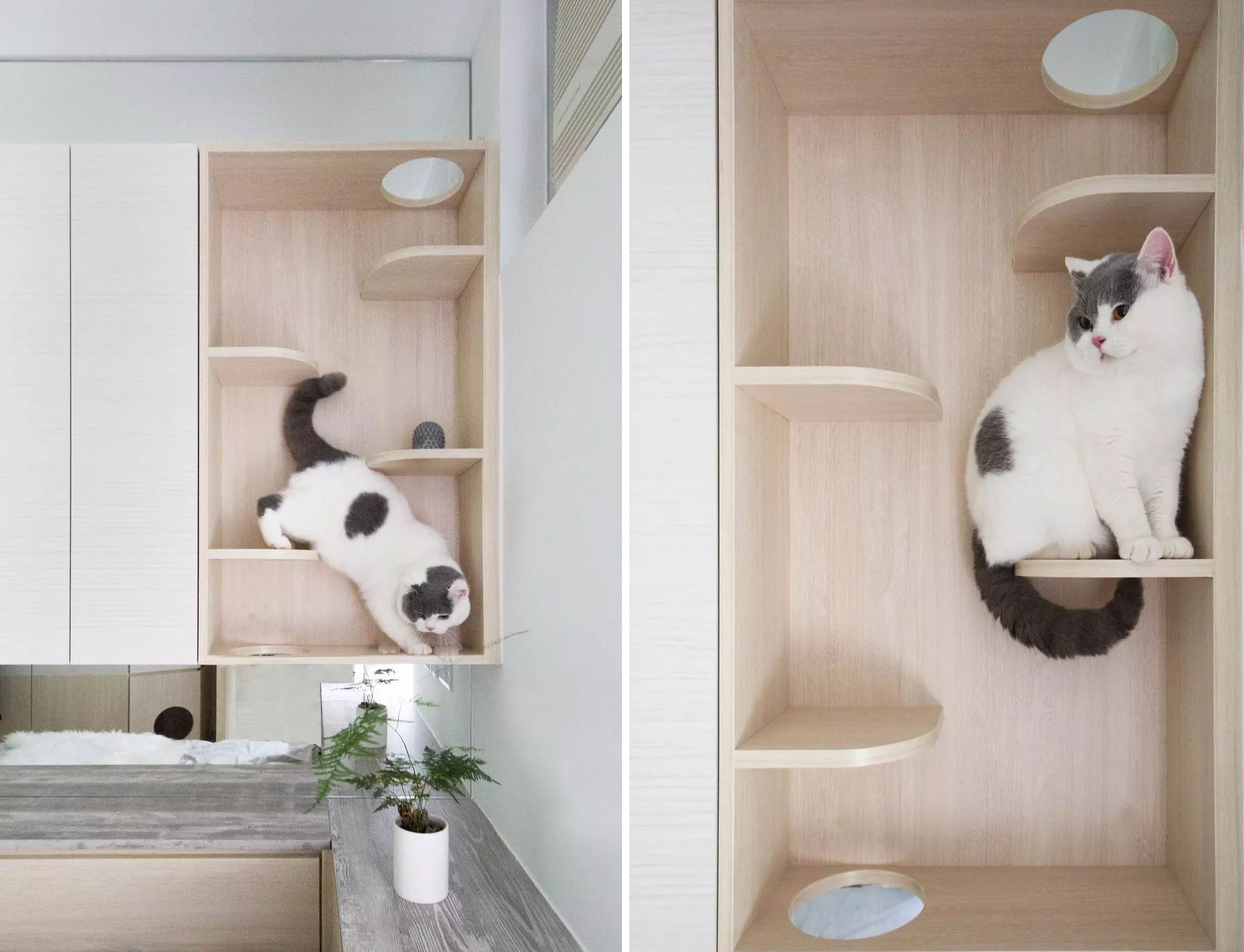 香港150平米蜗居装修效果,香港小户型房间设计