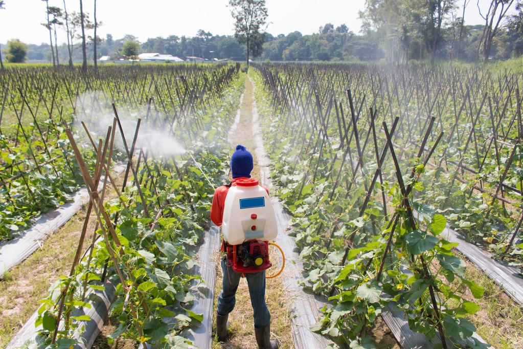 种地怎么自制化肥,农村自制化肥的方法