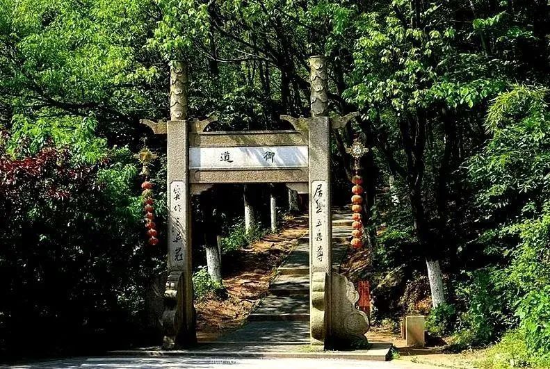 苏州旅游自驾一日游,苏州旅游一日游亲子游