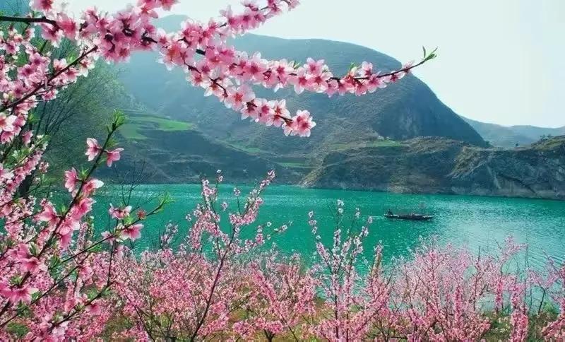 早春最好的十首诗,早春诗词十首