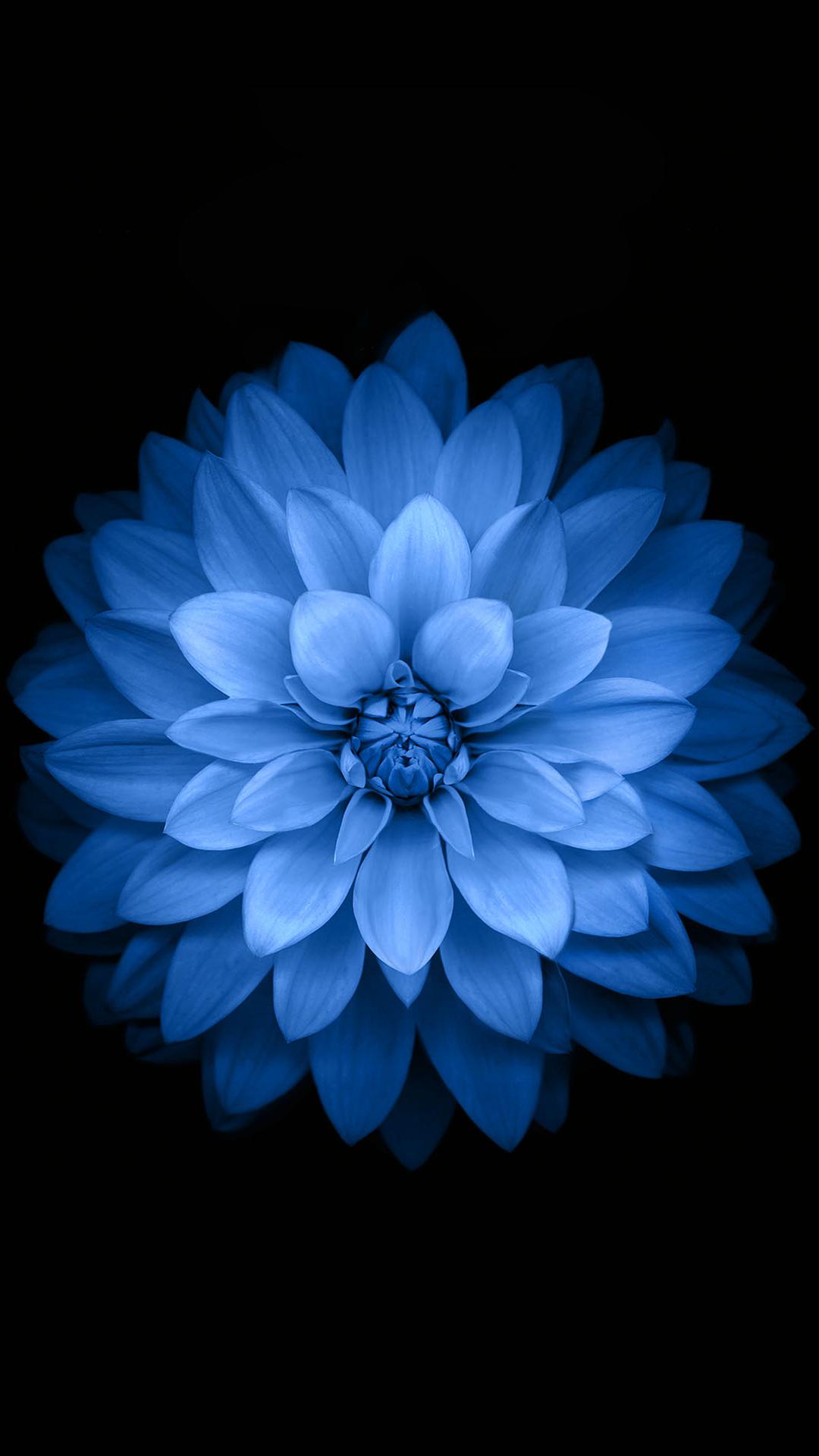 黑棕色格调壁纸,苹果黑色壁纸