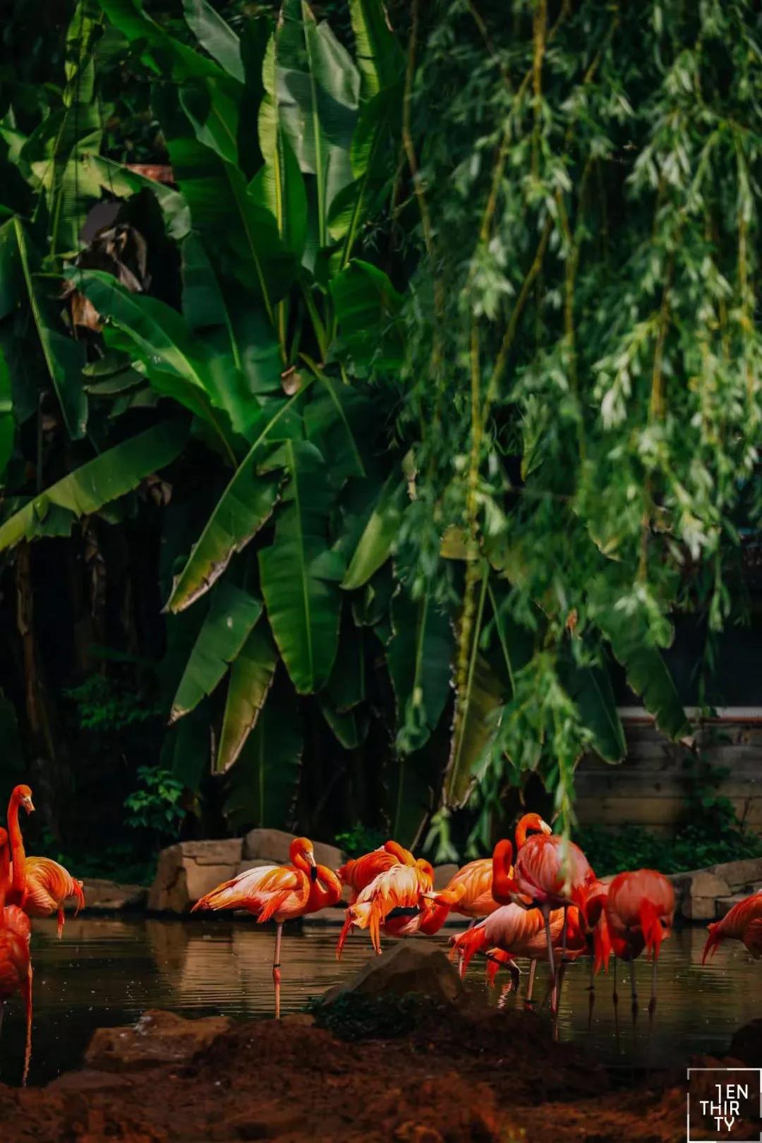 汉阳何时崛起,汉阳市井气息