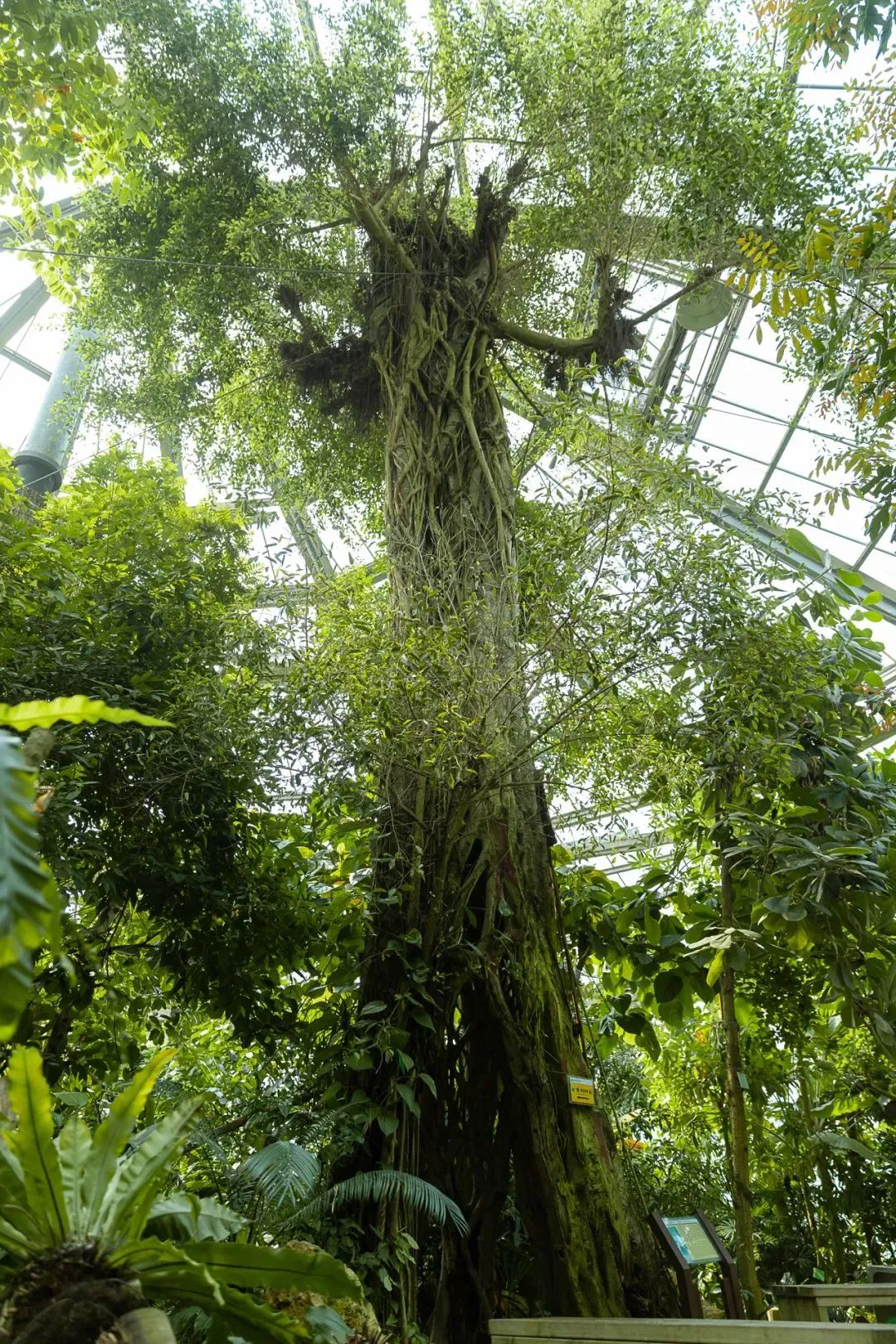 第一批「旅游特种兵」已到达广州,攻略整理完毕!