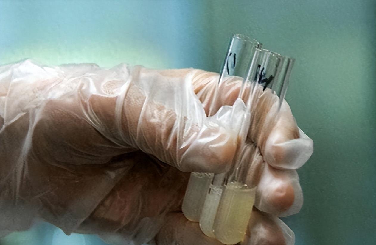 失落的小勇士们,踏上了怀孕之路