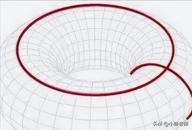 数学家佩雷尔曼实力,数学鬼才佩雷尔曼