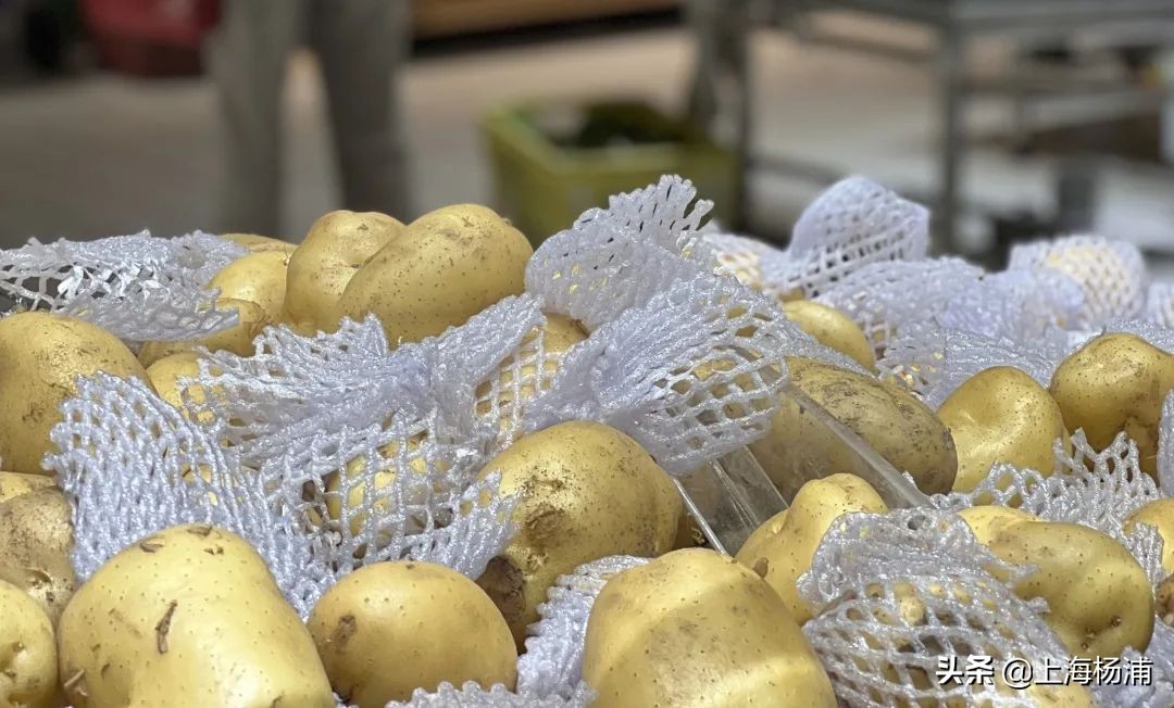 风雨无阻在菜市场买菜的文案,超市里卖菜的文案