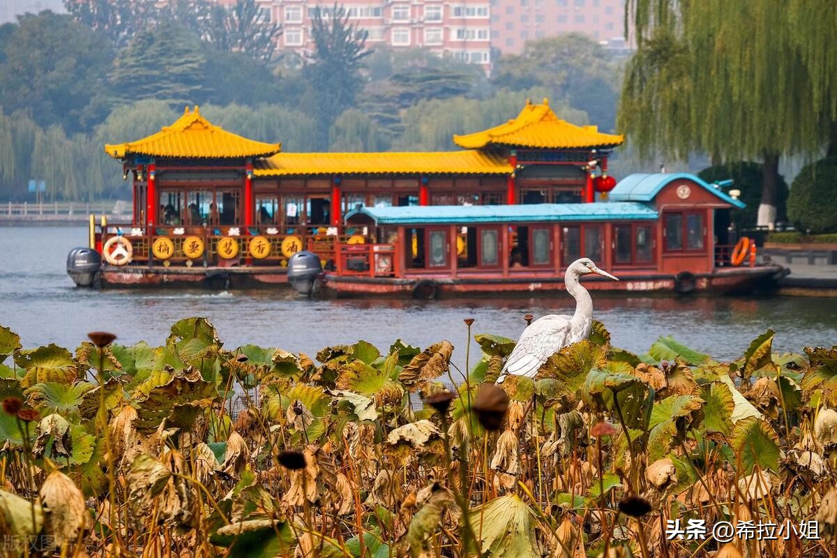 济南市旅游攻略必去景点有哪些,济南旅游攻略景点有哪些