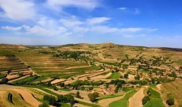 时光涟漪:天选之人，身患银屑病的美貌堂姐现实版活着