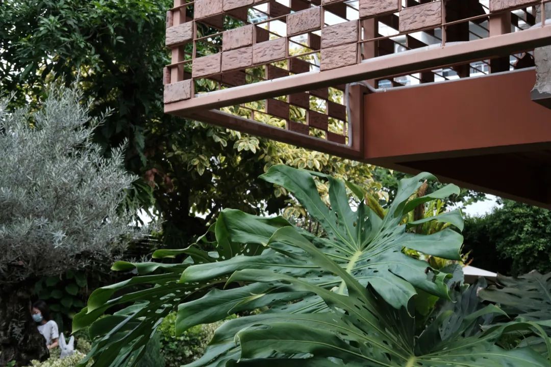 谁懂啊，泰国也太好逛了！