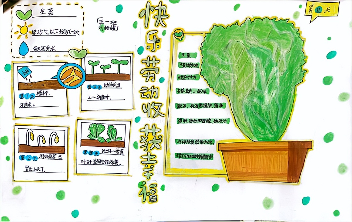 合肥市五一小学:开心耕耘田园幸福“芒种”收获