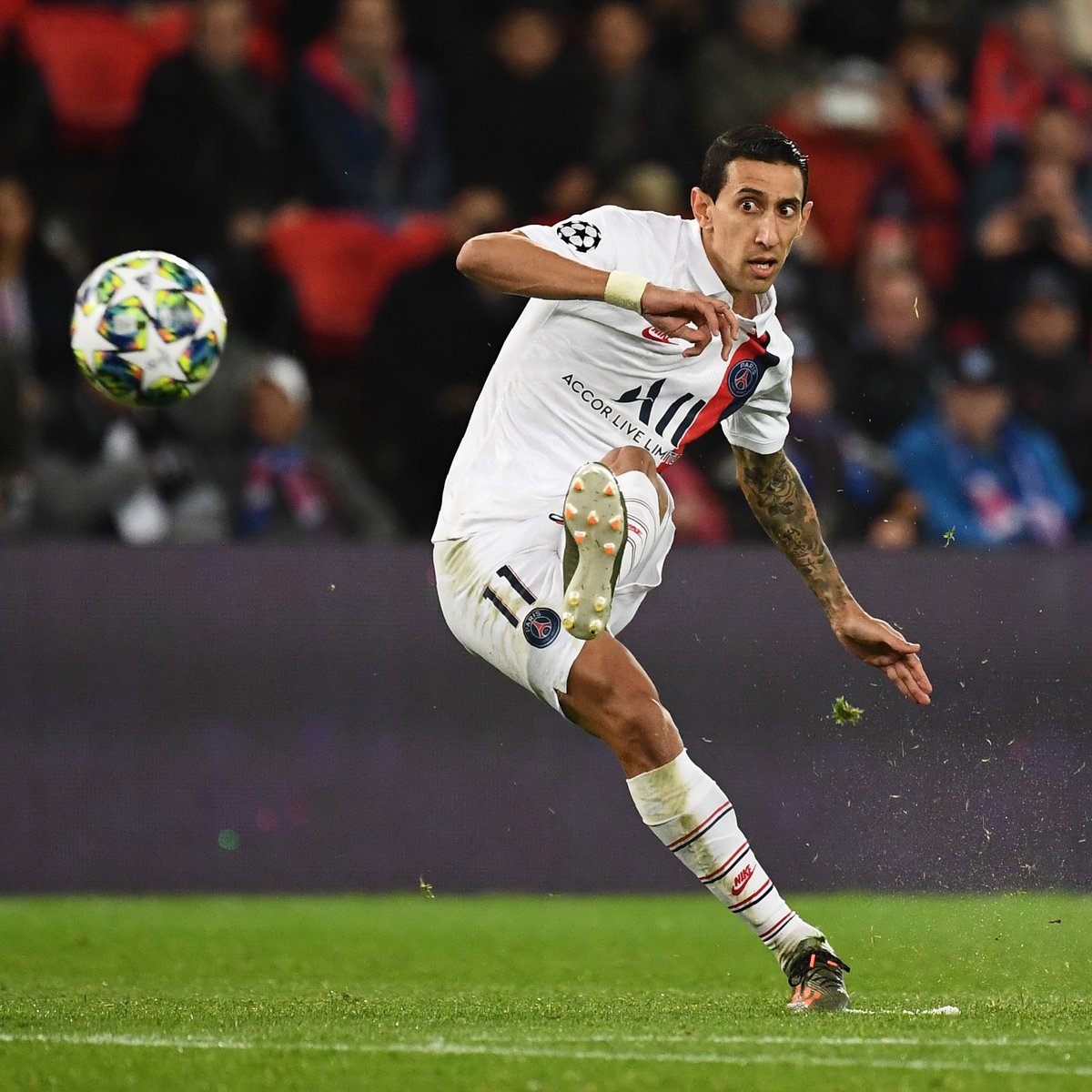 天使之翼迪马利亚壁纸,天使之翼迪马利亚剪刀脚