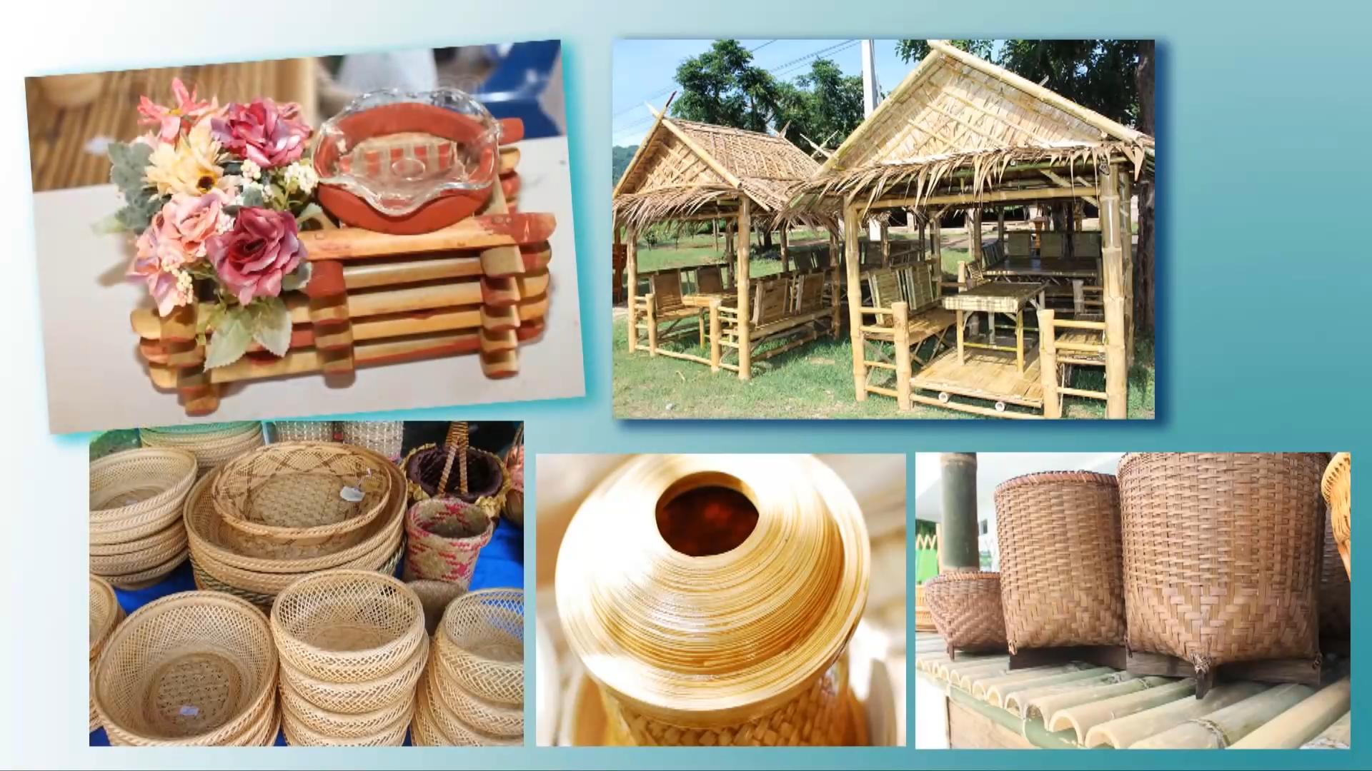 什么竹子适合种植在庭院,关于竹子种植的几种方法