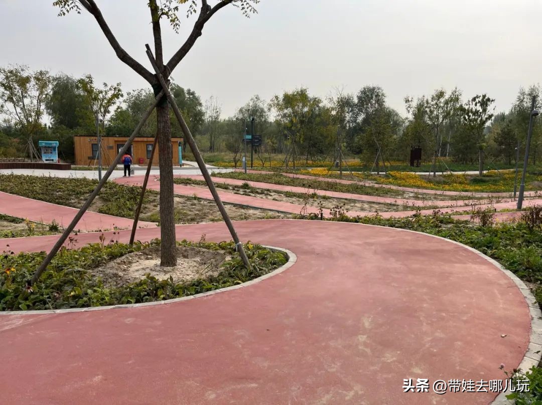 藏在二环的超小众免费公园,免费游玩的小公园