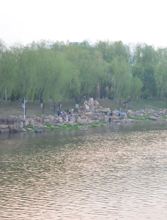 citywalk用脚步丈量城市,开启随性自由的citywalk