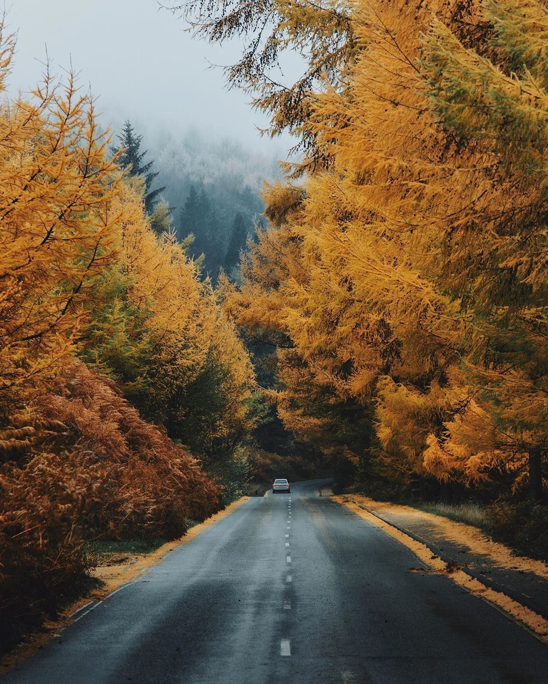 面对生活要笑起来,人生路上当个哑巴又如何