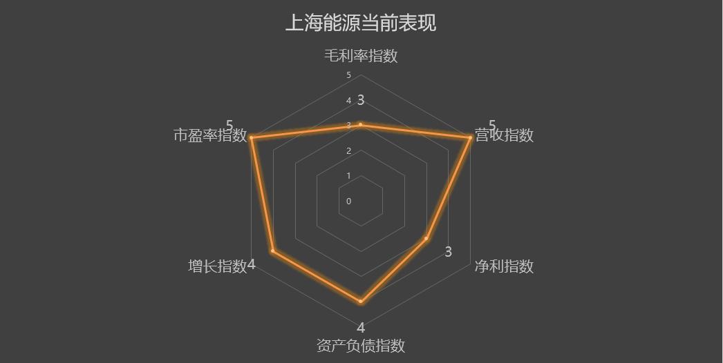 600508上海能源,600508上海能源值得长期持有吗