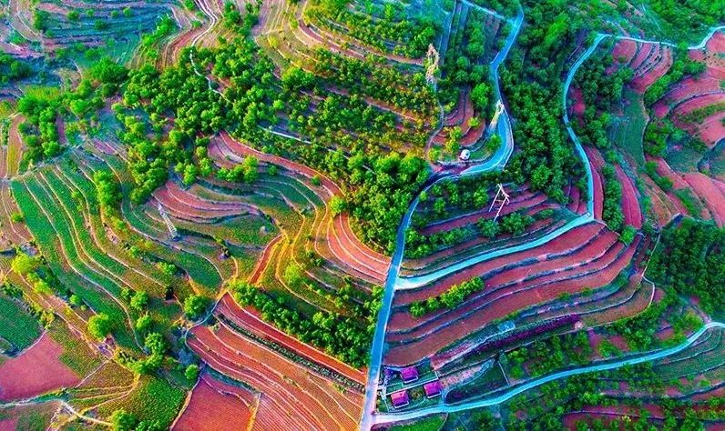 乡村振兴100讲全集,100个经典乡村振兴案例