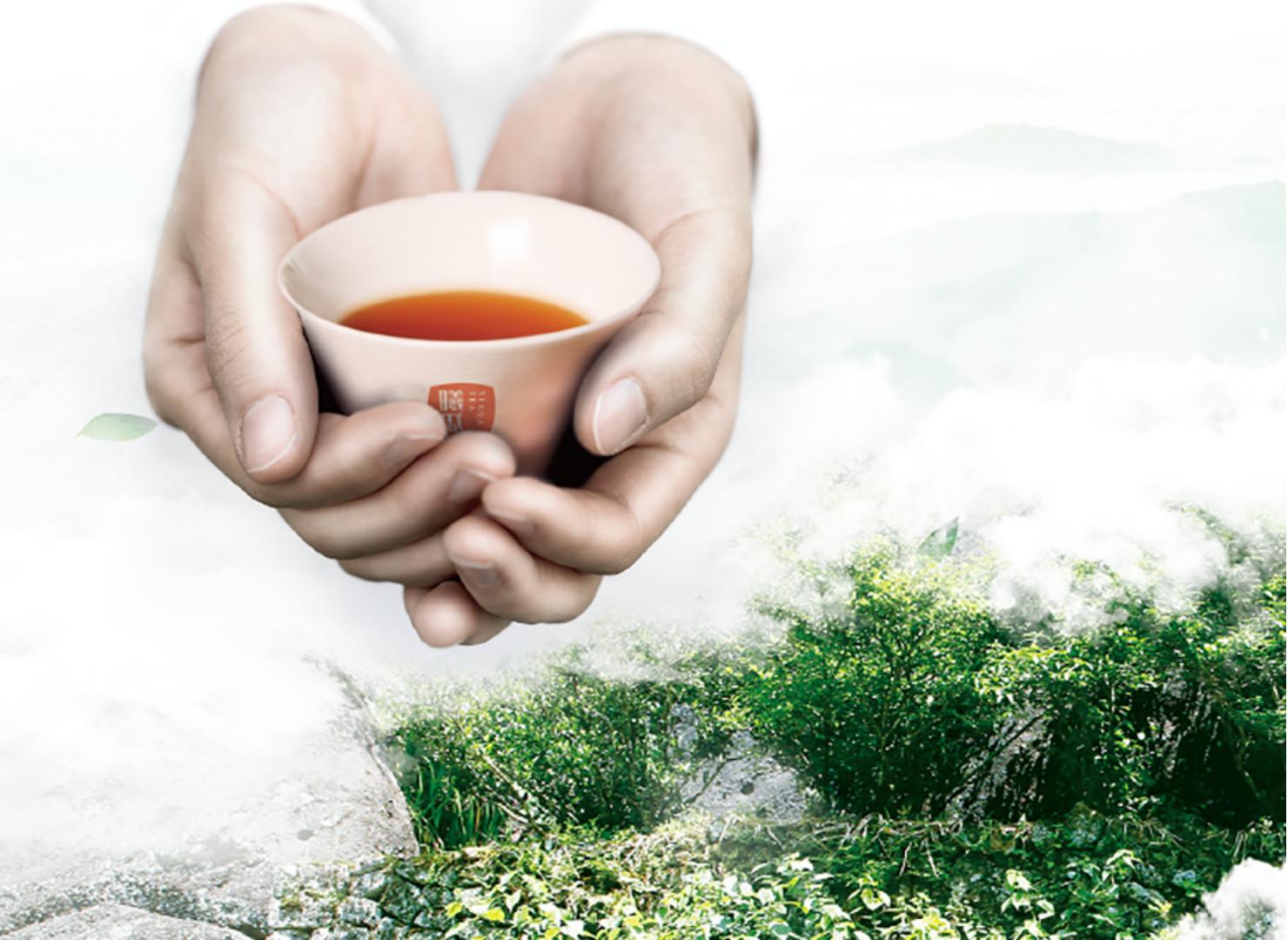 曦瓜武夷岩茶典藏版条装大红,曦瓜岩茶主打产品