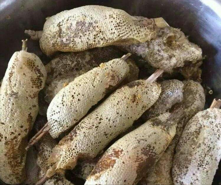 竹子上咬洞的蜂叫什么蜂,竹子上的蜂巢蜜