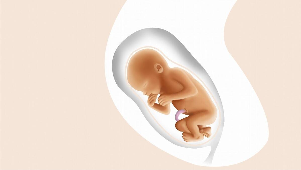 上怀和下怀的孕妈,上怀下怀跟妈妈体质有关吗