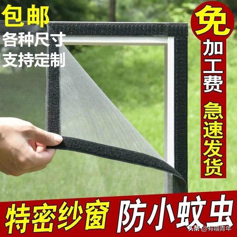 养猫不能放蟑螂药怎么办,养猫不能用的驱蚊方法