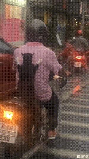 每日一笑游泳教学视频,每日一笑钓鱼片段