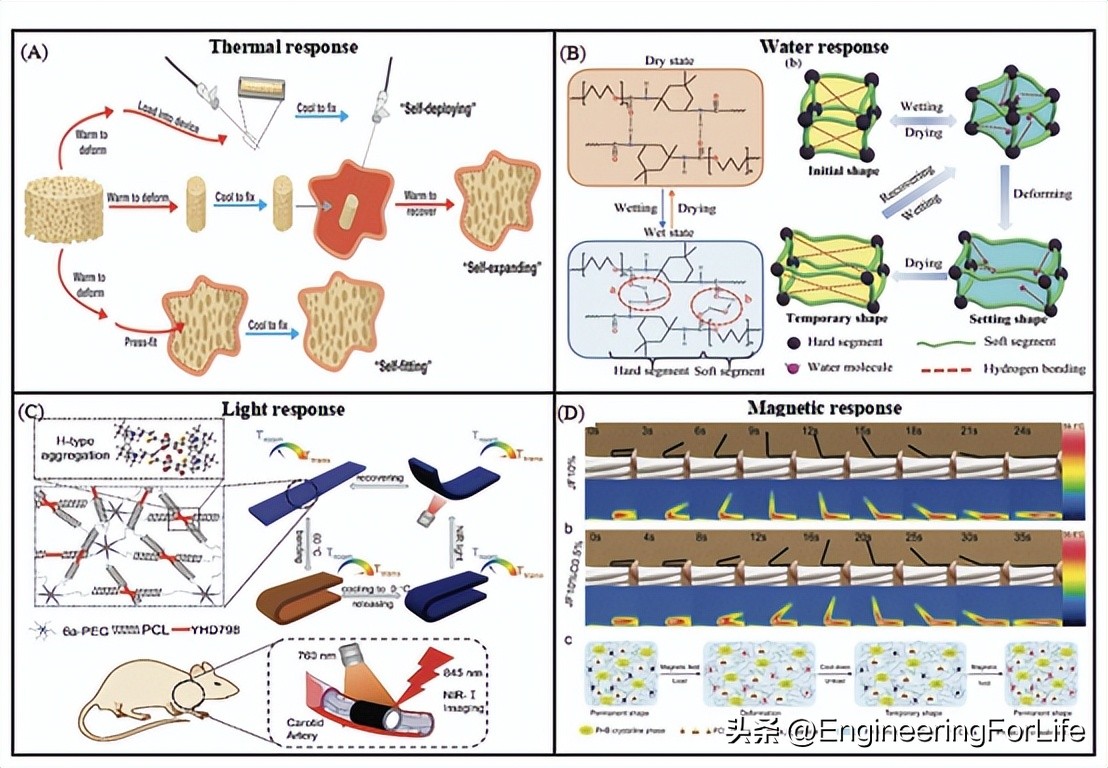 人造骨骨移植研究进展！面临三大挑战并进行未来展望