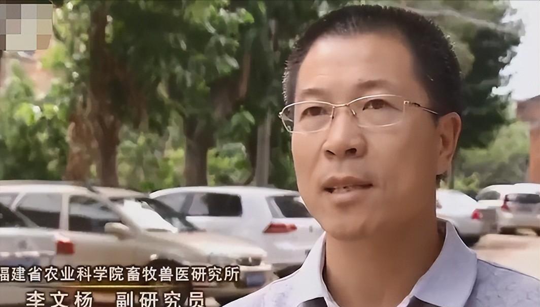 小伙放弃打工到大山里养殖,小伙放弃百万年薪转行回乡养猪