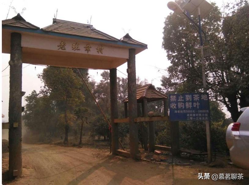 老班章之普洱茶界之最,普洱茶哪款老班章最好喝