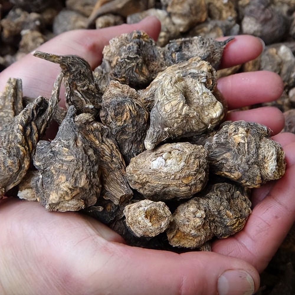 老人为何迷恋保健品,老年人为何爱执迷于保健品